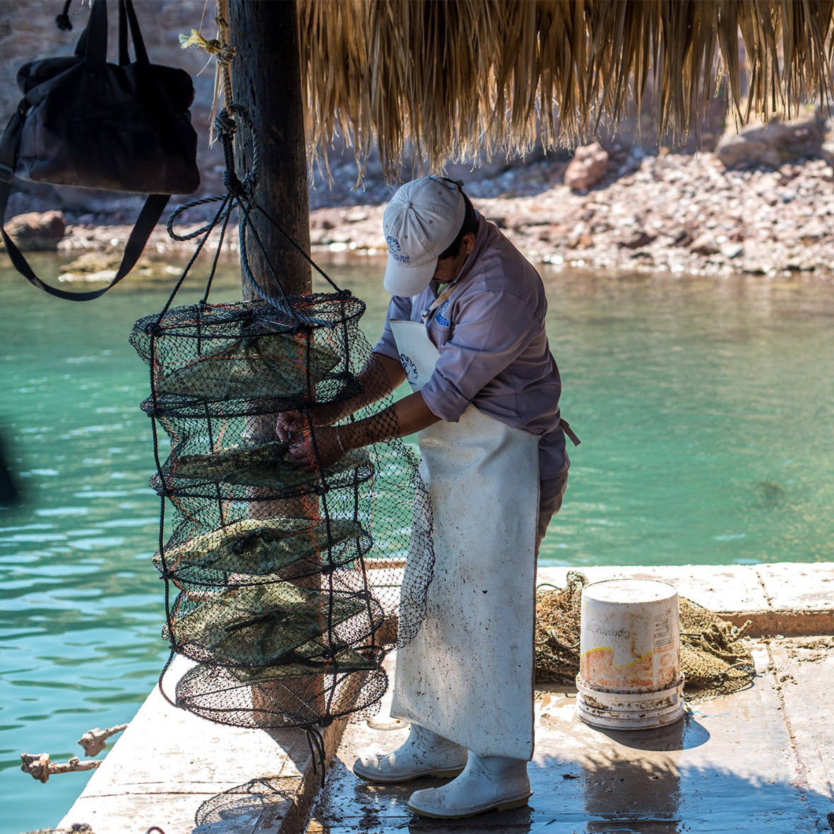 Pearl Jewellery as a Sustainable Investment